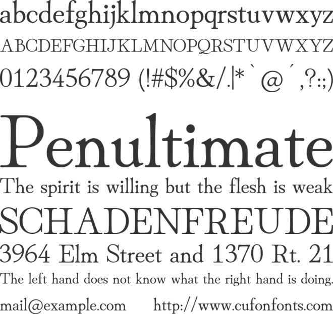 Hina Mincho font preview