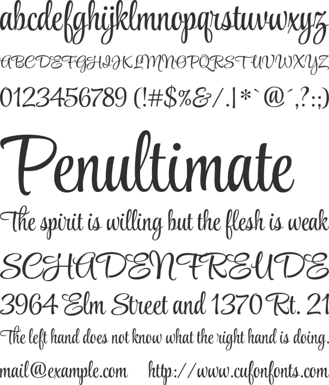 Style Script font preview