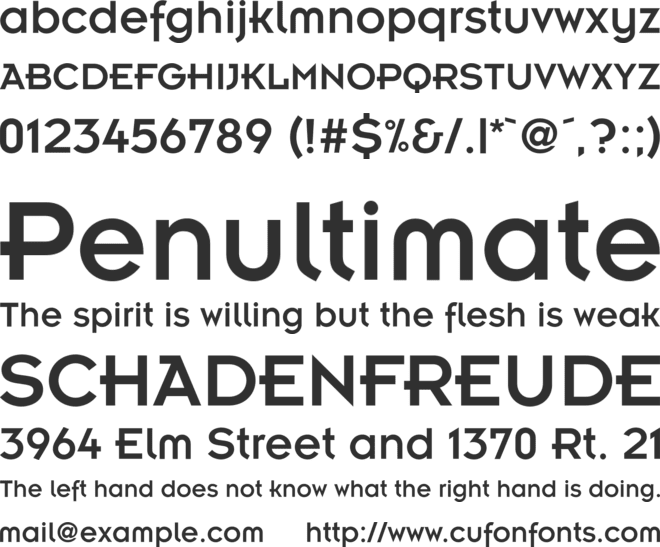Insignia font preview