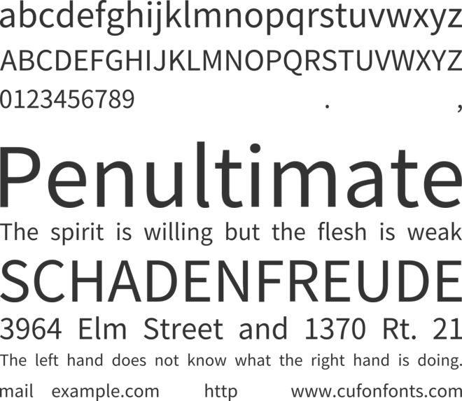 Noto Traditional Nushu font preview