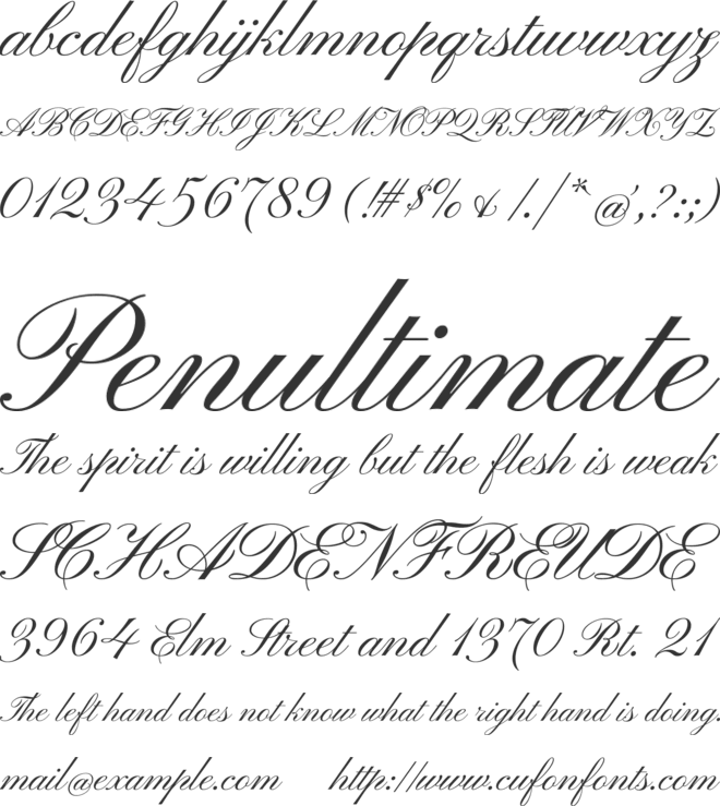 Pinyon Script font preview