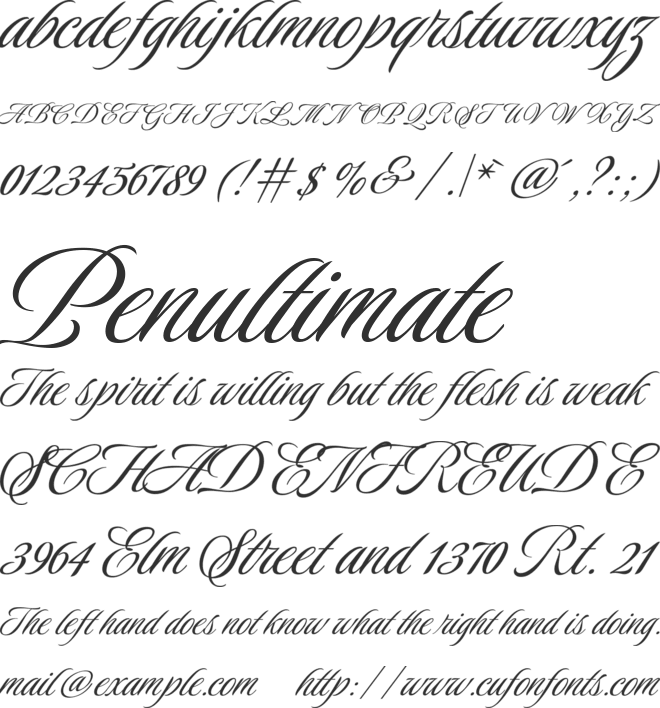 Luxurious Script font preview