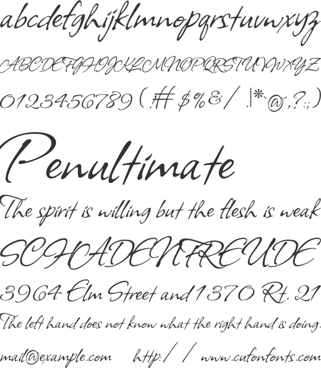 Allison font preview