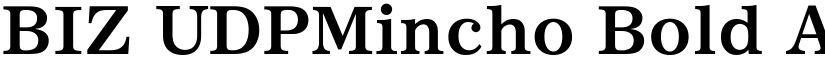 BIZ UDPMincho Bold font