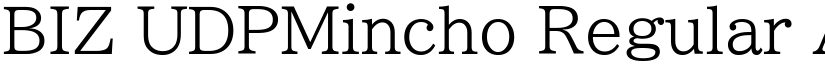 BIZ UDPMincho Regular font