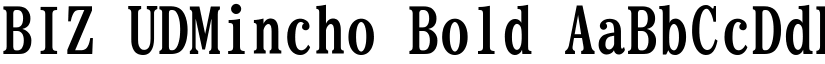 BIZ UDMincho Bold font
