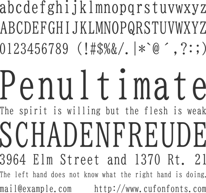 BIZ UDMincho font preview