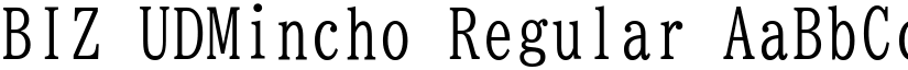 BIZ UDMincho Regular font