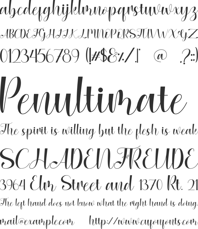 Feminie font preview