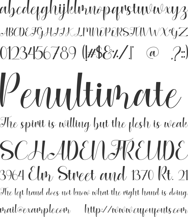 Feminie font preview