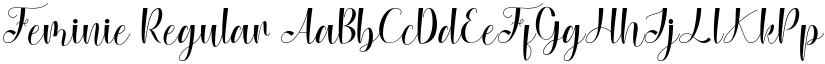 Feminie Regular font