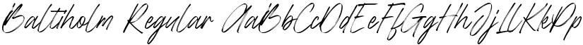 Baltiholm Regular font