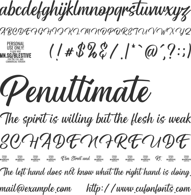 Blestive Script PERSONAL USE font preview