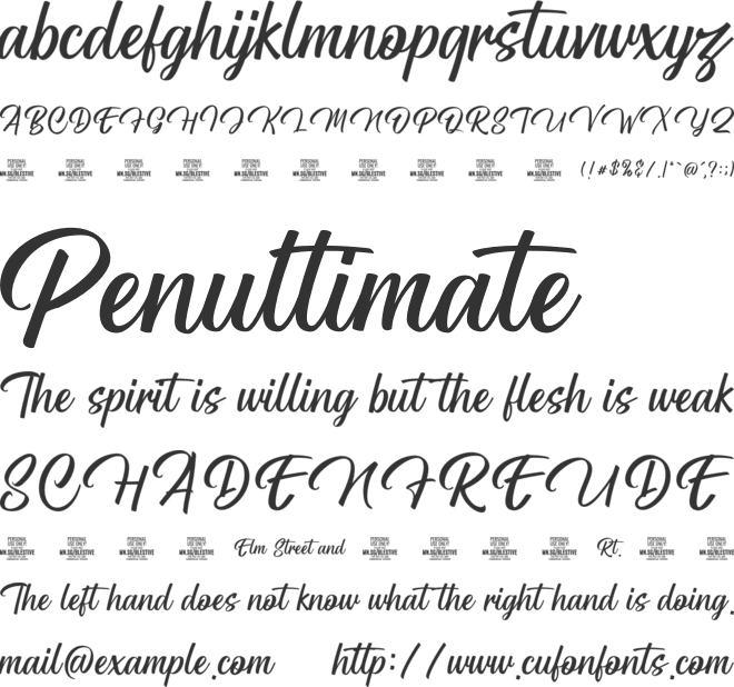 Blestive Script PERSONAL USE font preview