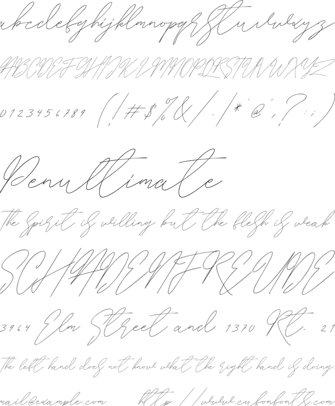 Whitelisa font preview