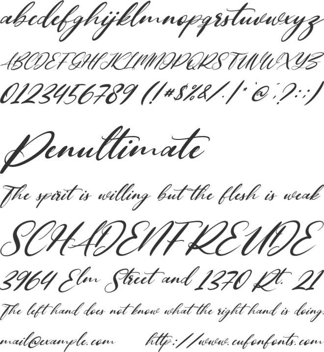 Asortings font preview