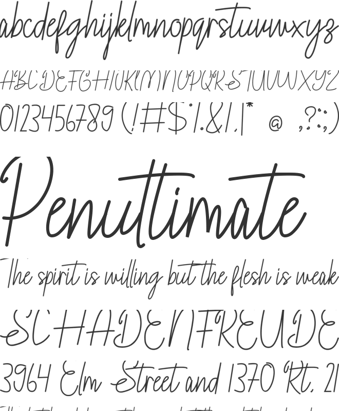 Satnight Signature font preview