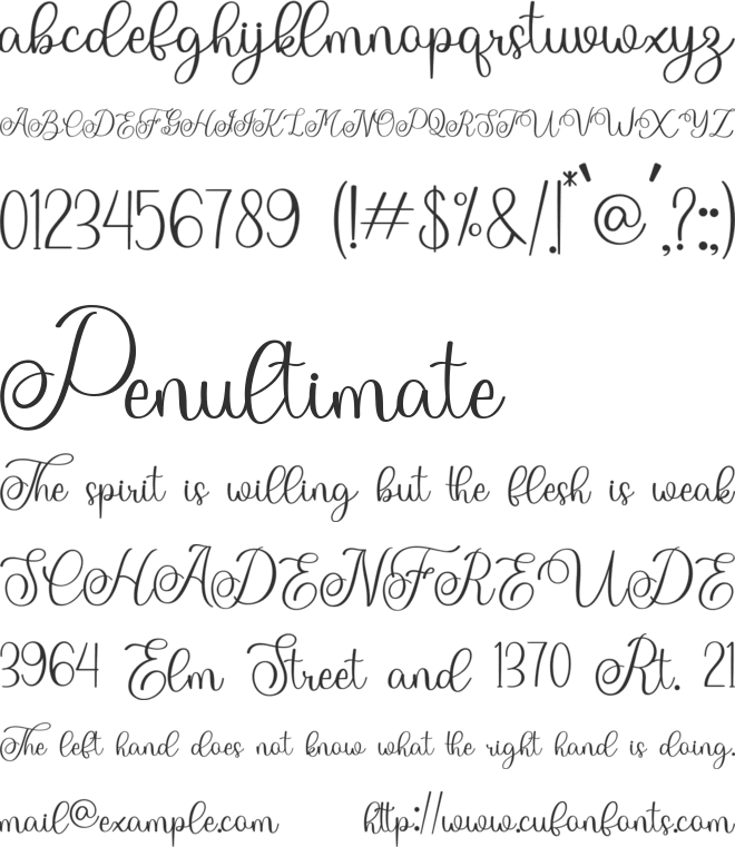 The wedding font preview