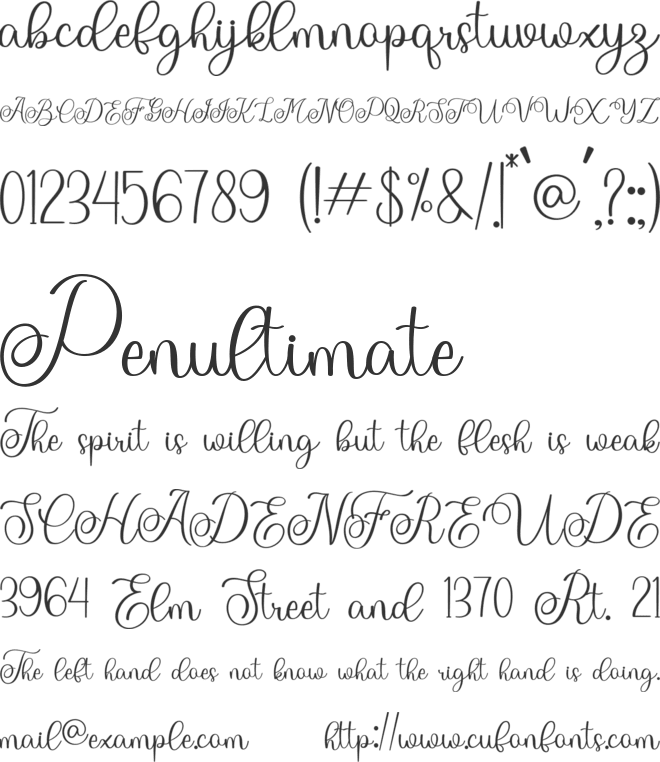 The wedding font preview