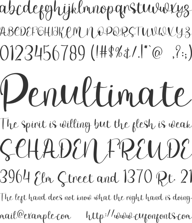 Special Noodle font preview