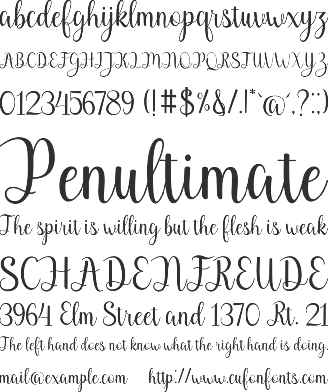 Dhellia font preview