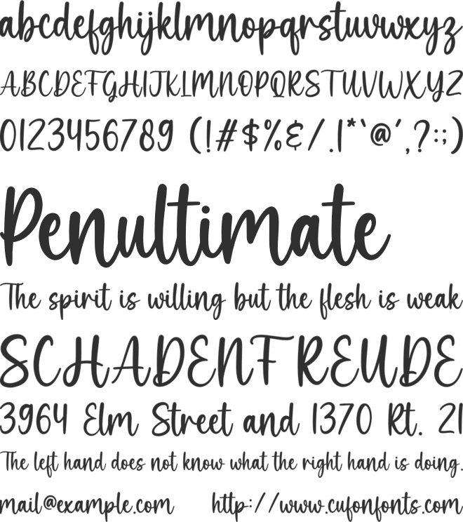 Michele font preview