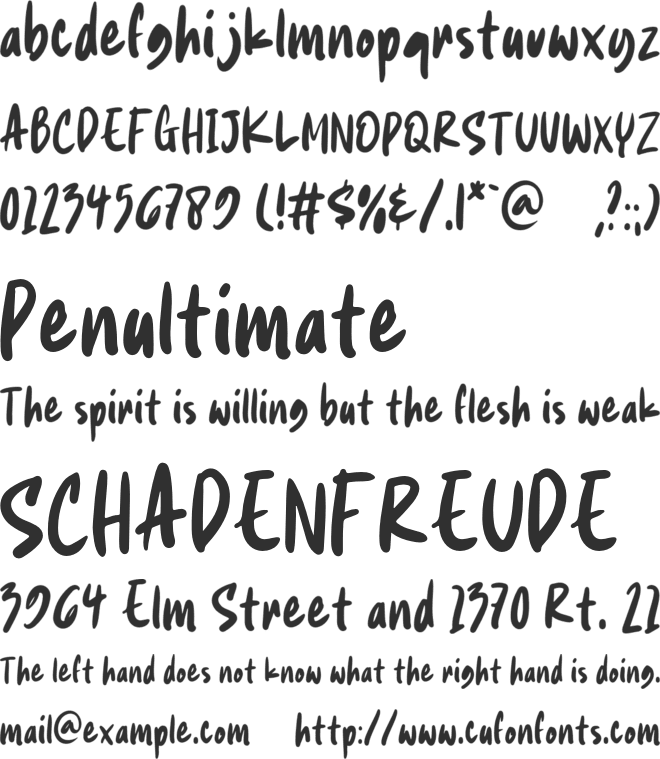DailyNoted font preview