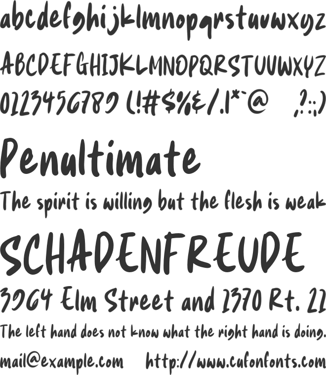 DailyNoted font preview