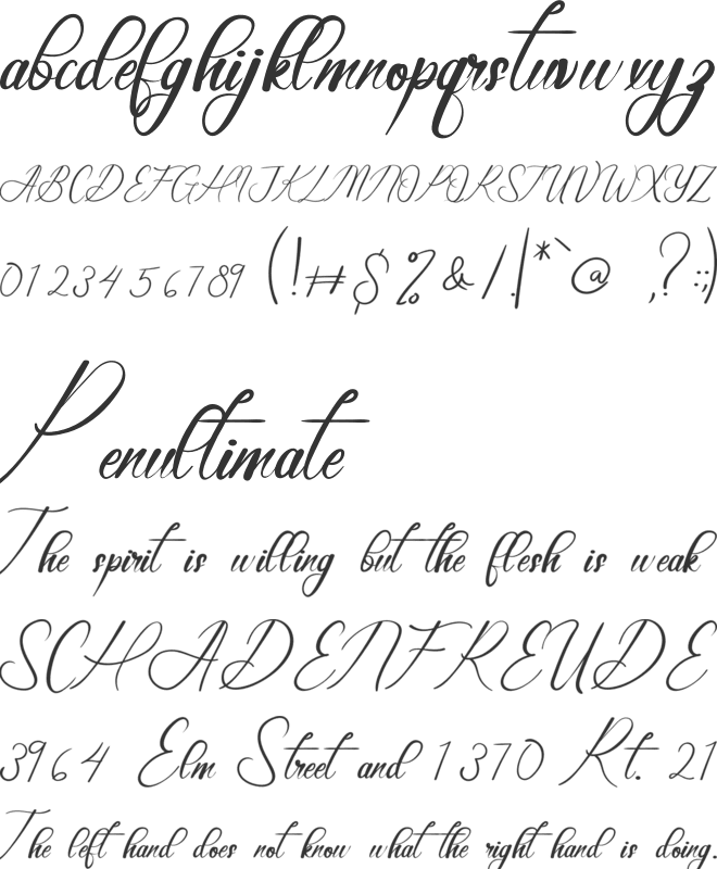 Elegant Wedding font preview