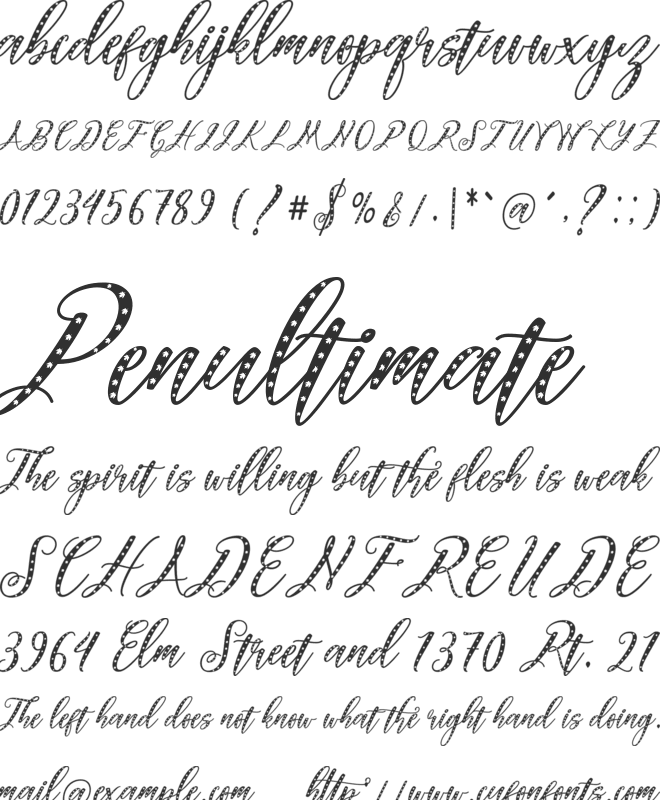 Autumn Elegant Script font preview