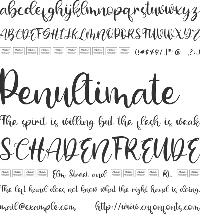 Cherish font preview