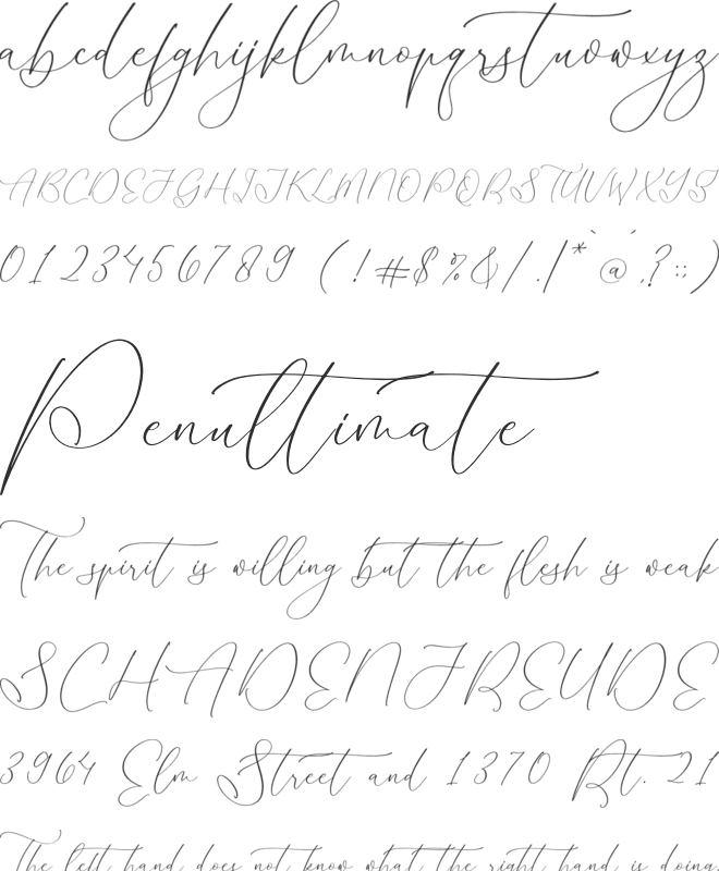 Homylane Dremyntine font preview