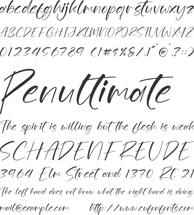 Anomuitsy font preview