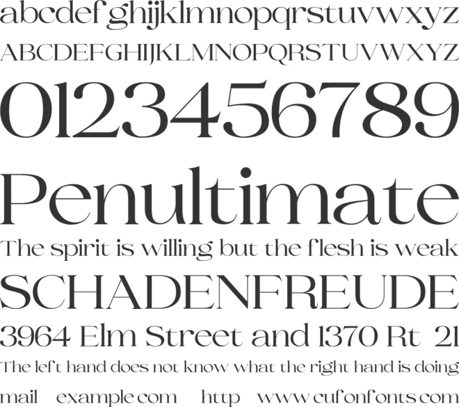 Selino font preview