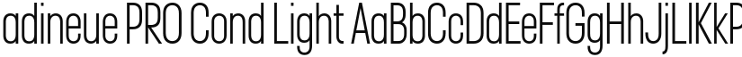 Adineue PRO Cond font download