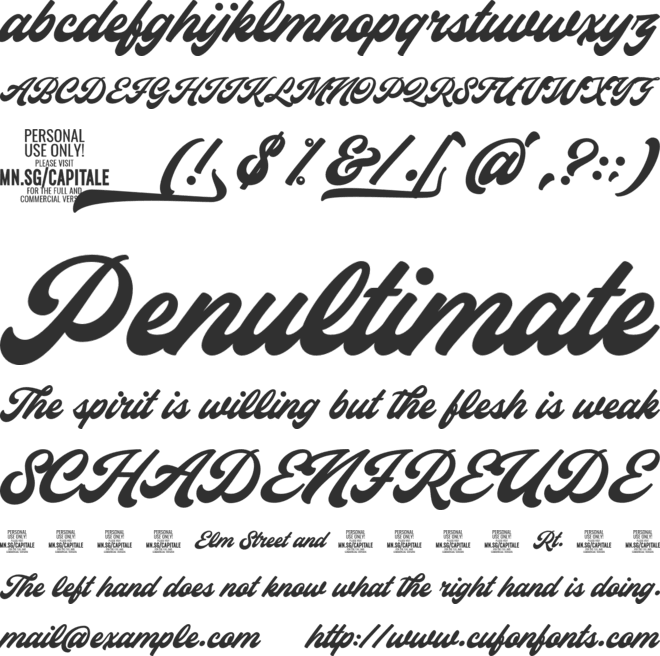 Capitaly Script PERSONAL USE font preview