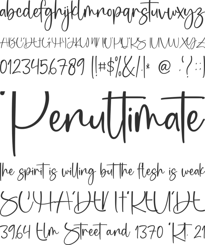 stay winter font preview