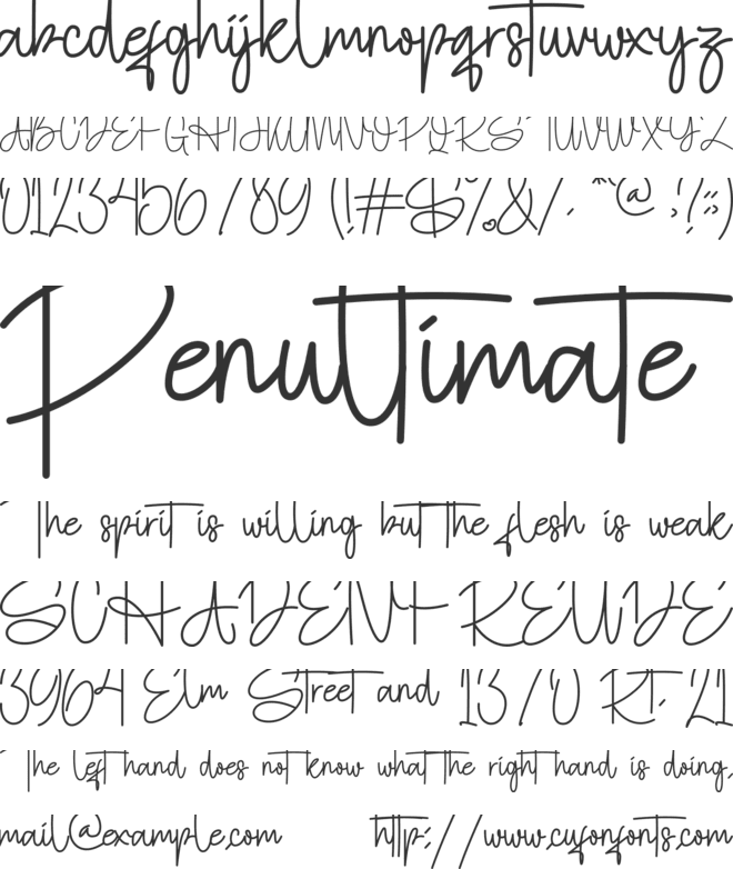 Hotamie font preview