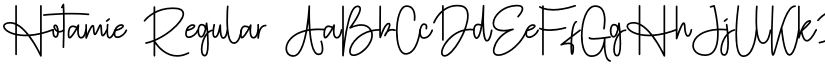Hotamie Regular font