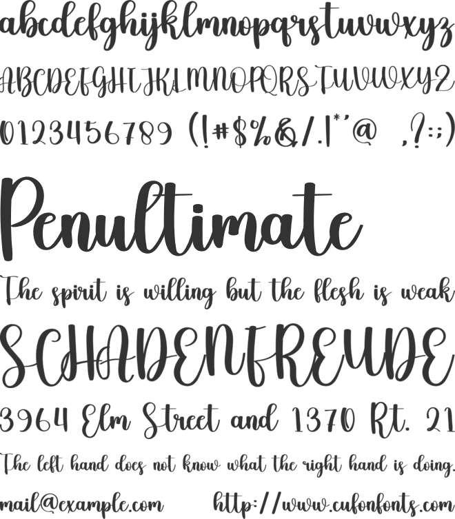 Christmas Specialist font preview