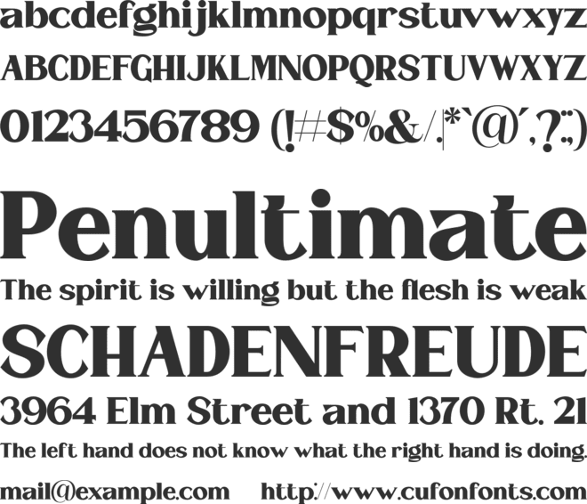 ST Remona Neue font preview