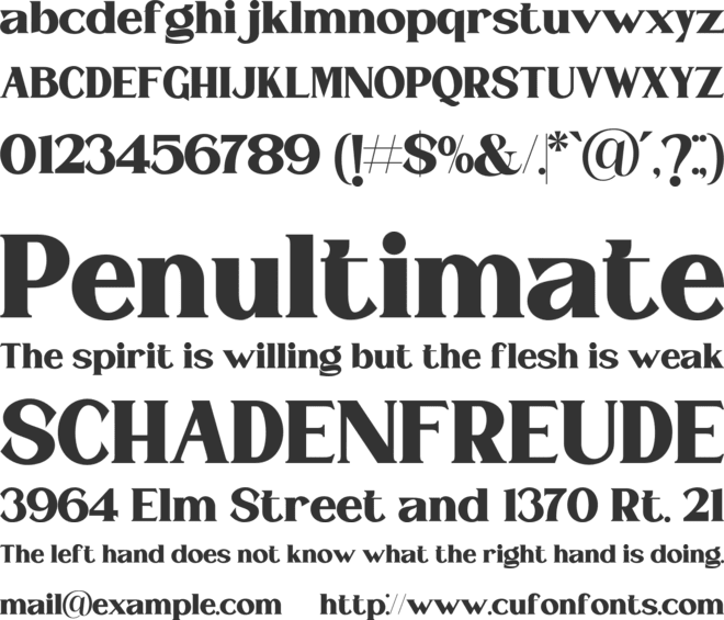 ST Remona Neue font preview