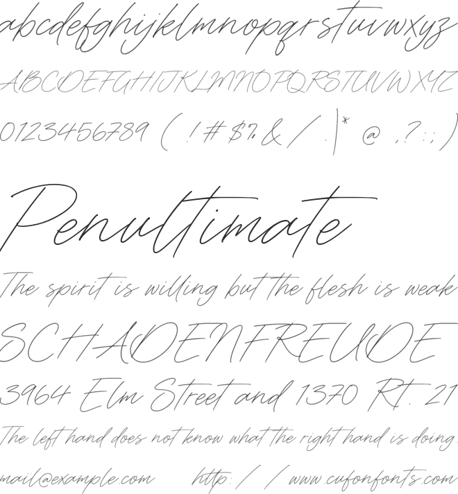 Signature Forest font preview