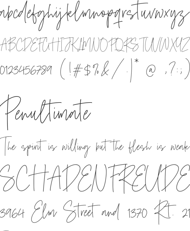 Midnight Wonders font preview