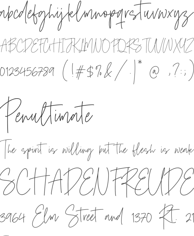 Midnight Wonders font preview