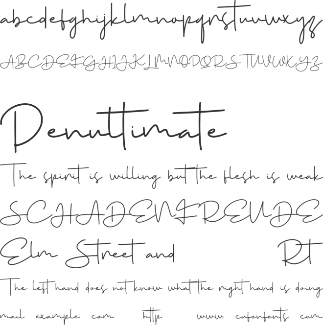 Signaturae font preview