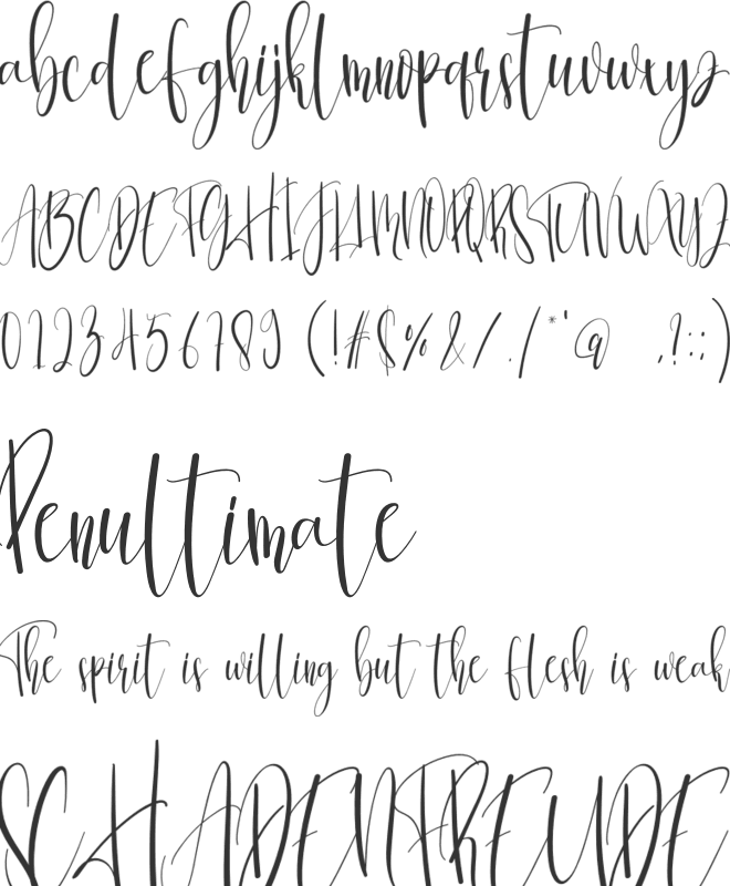 Gracelove font preview