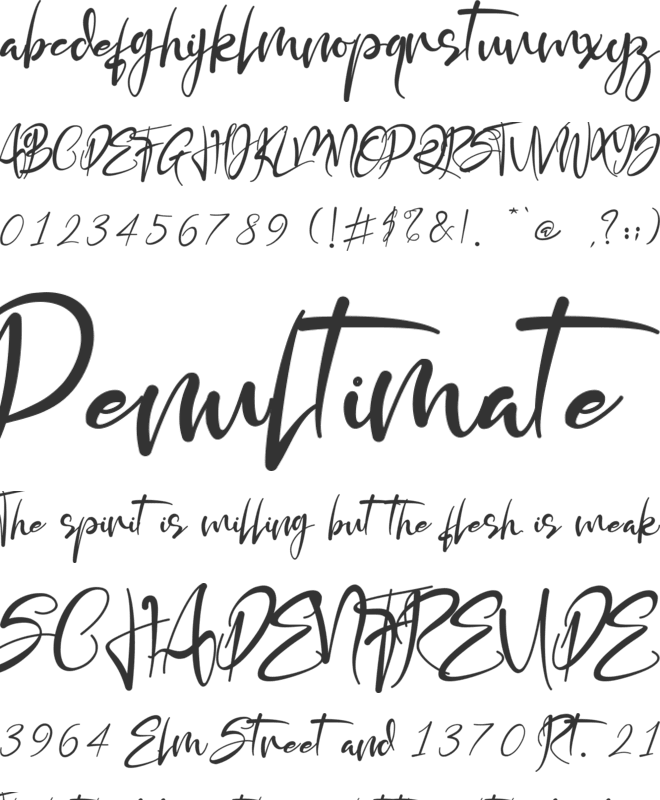 Georgina Signature font preview