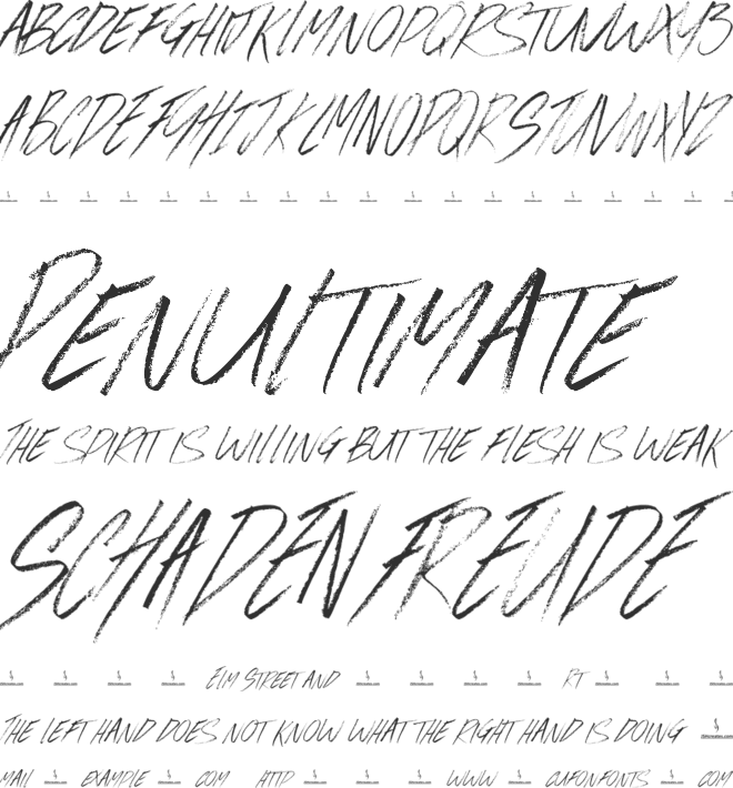 Evergreen Brush font preview