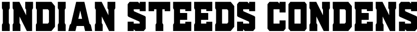 Indian Steeds Condensed Regular font